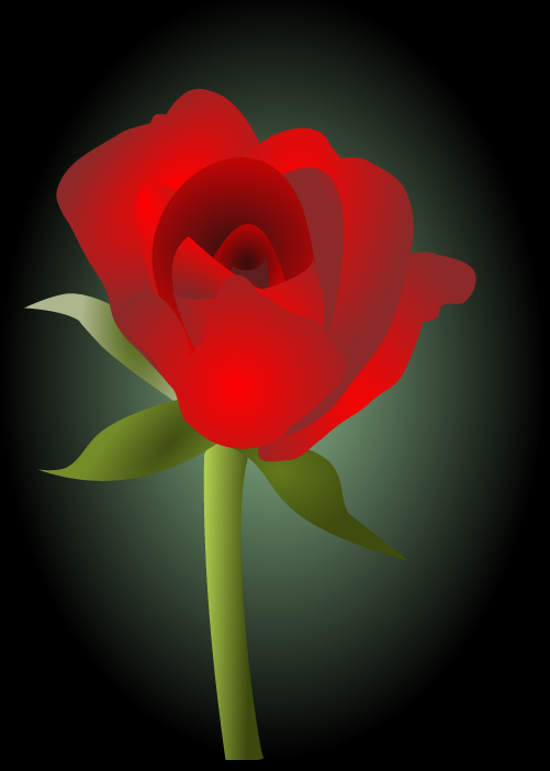 svg绘制盛开的玫瑰花动画特效
