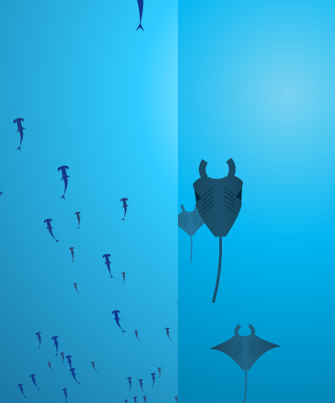 html5 canvas海底世界游动的生物动画特效