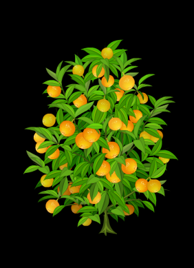 橘子树被风吹动flash动画效果
