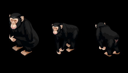 黑猩猩走路flash动画