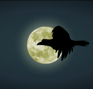 飞翔在夜空的老鹰flash动画