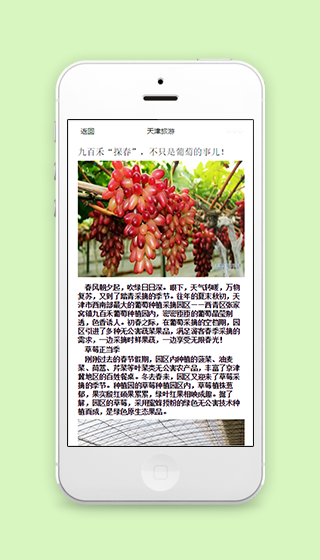 天津旅游文章的微信小程序页面模板源码下载