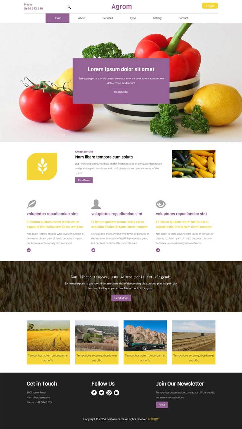 蔬菜种植农业网站模板下载