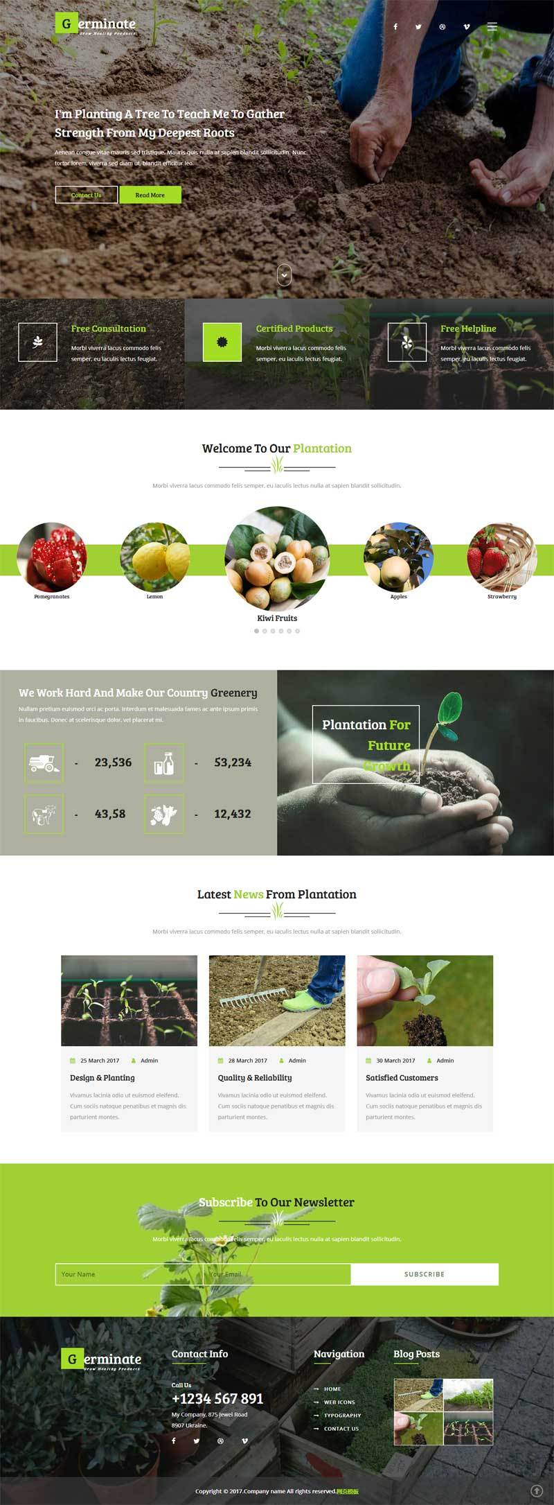 蔬菜水果农业种植宽屏的绿色网站模板下载
