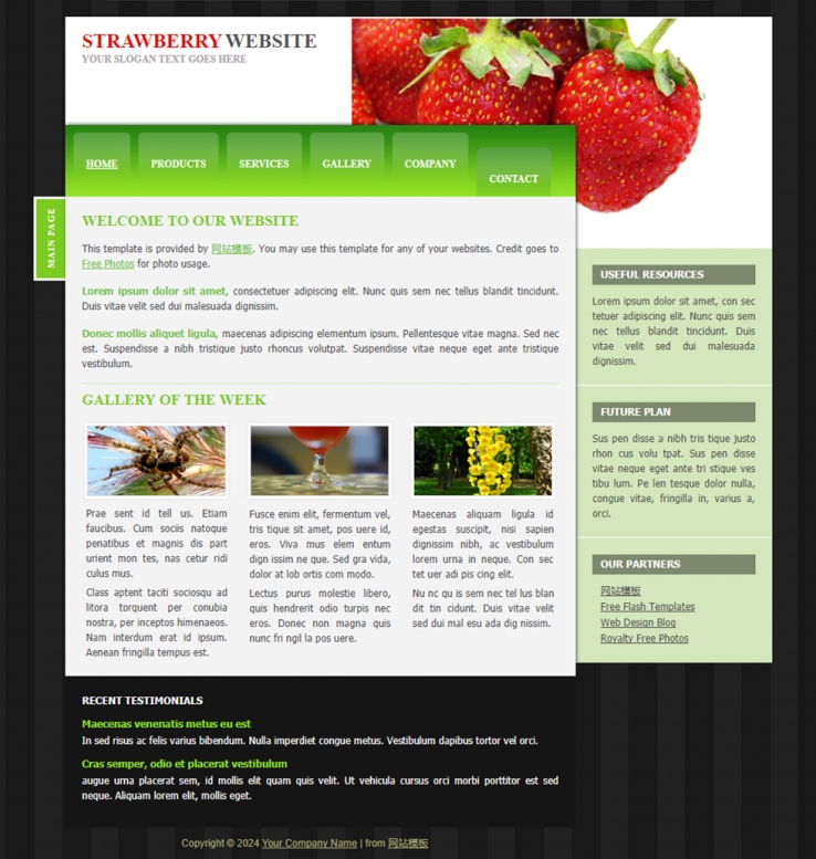 绿色清新风的食品类企业网站模板下载