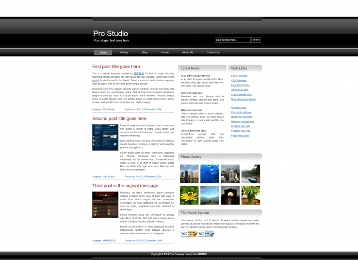 黑色标准风格的个人博客网站模板下载