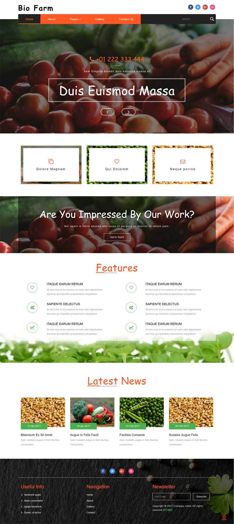 有机蔬菜水果种植大气网站模板