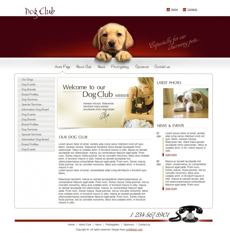 暗红色精美的宠物狗类网站模板下载