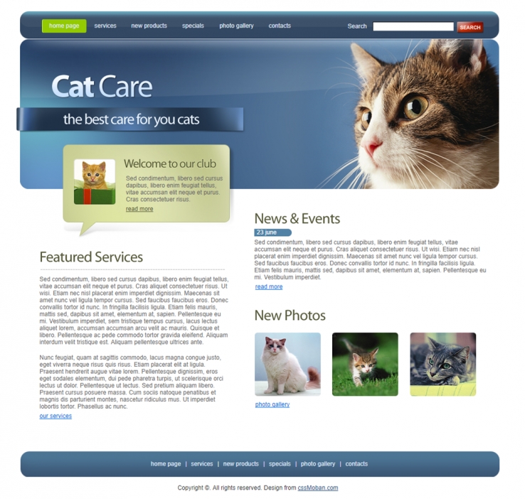 蓝色宠物猫类的企业网站模板下载