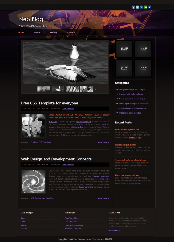 黑色系炫彩的设计师博客网站模板下载