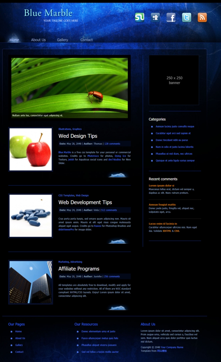 蓝色梦幻水晶类的博客网站模板下载