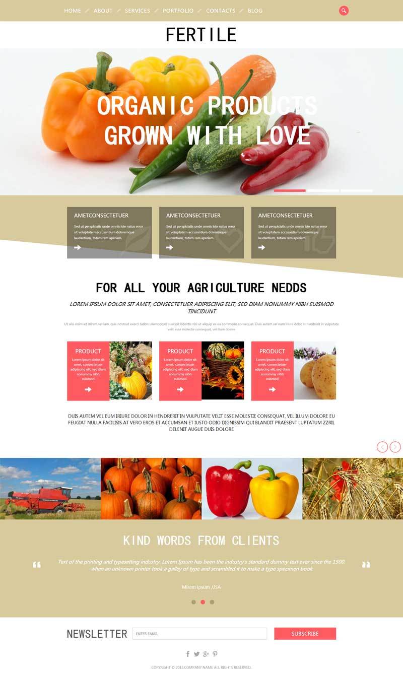国外蔬菜水果种植生产简单网页模板