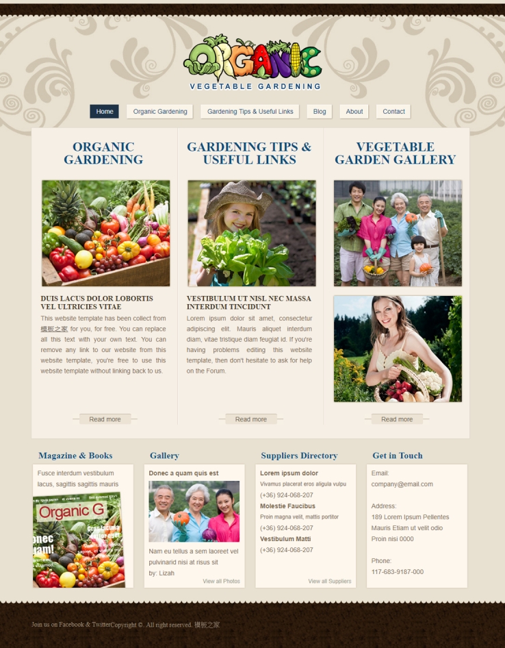 花纹质感漂亮的水果蔬菜网站模板下载