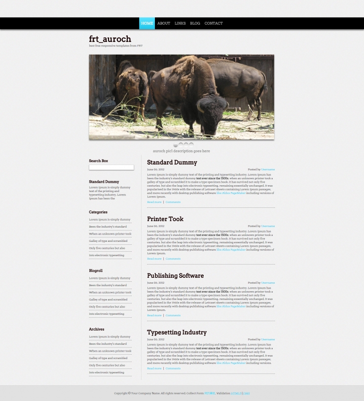 灰色简洁幻灯的个性动物网站模板下载