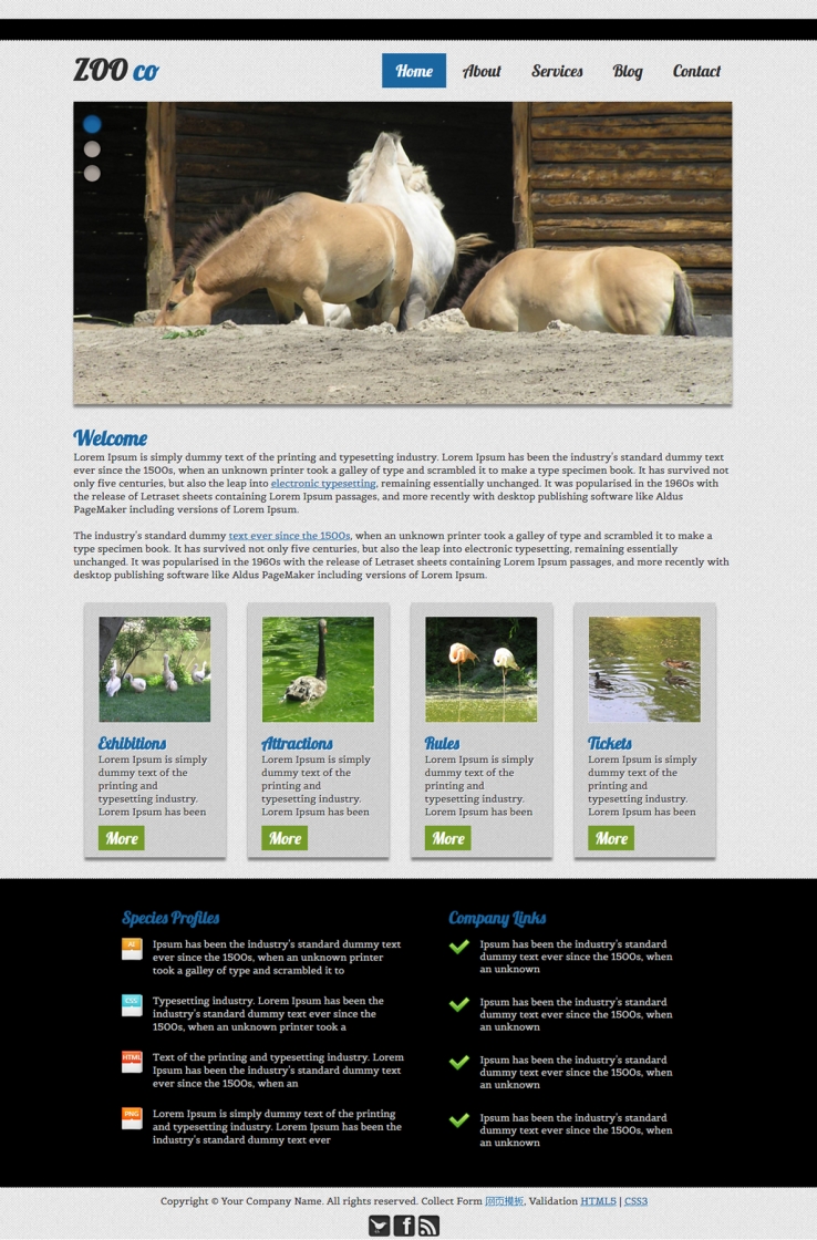 格子纯色幻灯的动物园企业网站模板下载