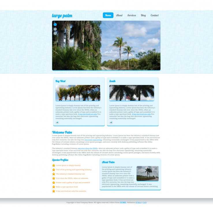 蓝色大图幻灯的旅行企业网站模板下载