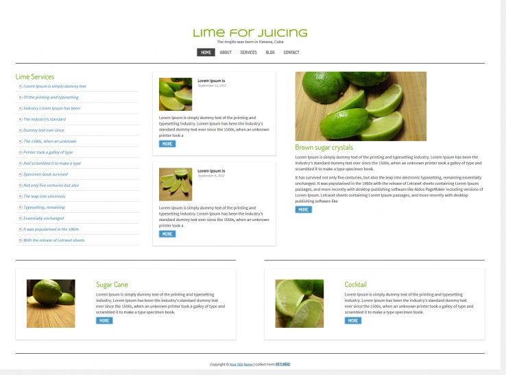 简单清爽宽屏的绿色水果网站模板下载