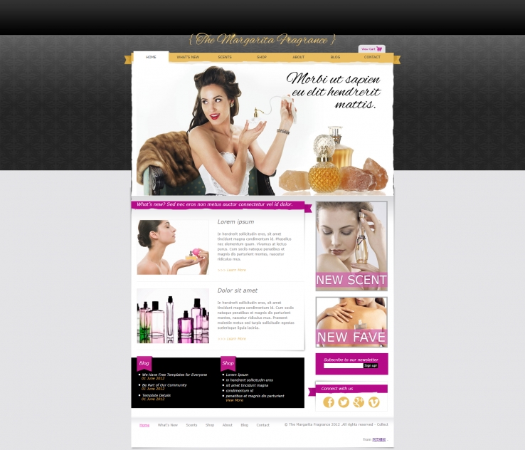花纹背景的女性奢侈品商城网站模板下载