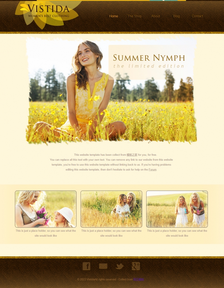 金色麦田风格的摄影类企业网站模板下载