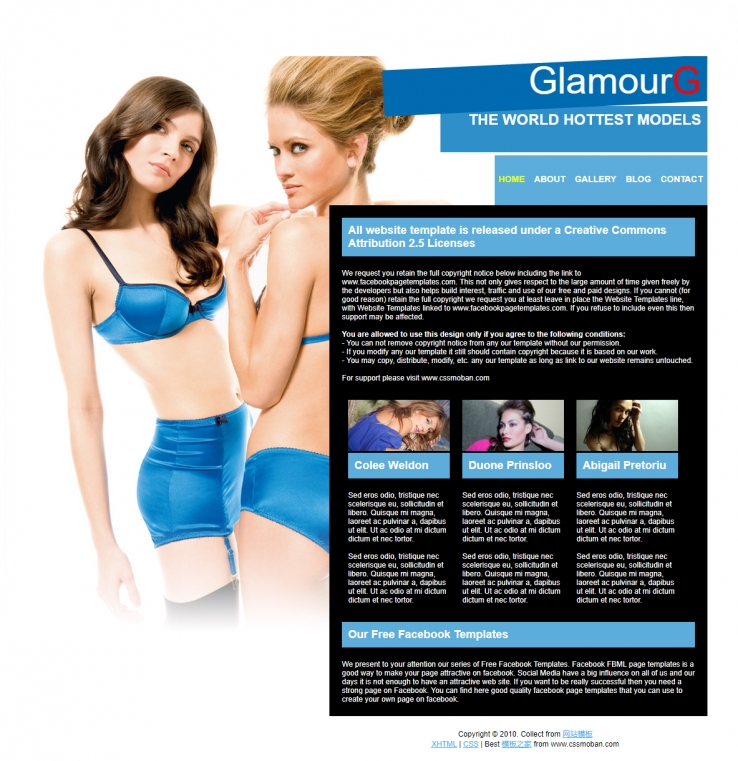个性性感风格的女性内衣展示企业网站模板下载