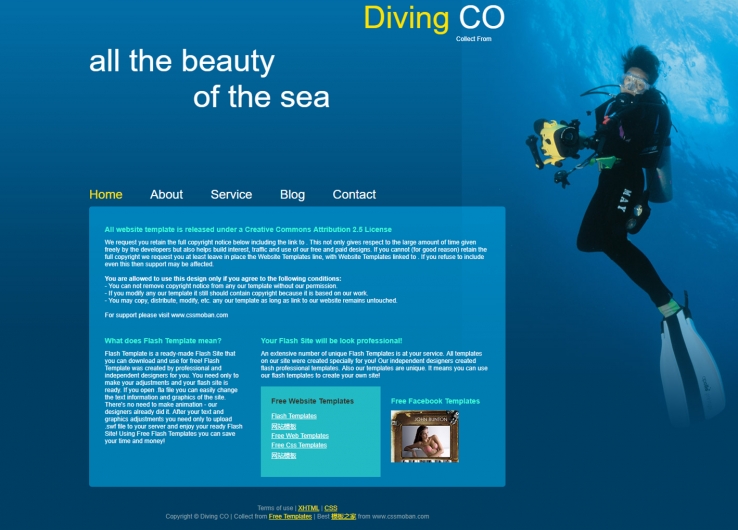 简洁纯净的海洋世界网站模板下载