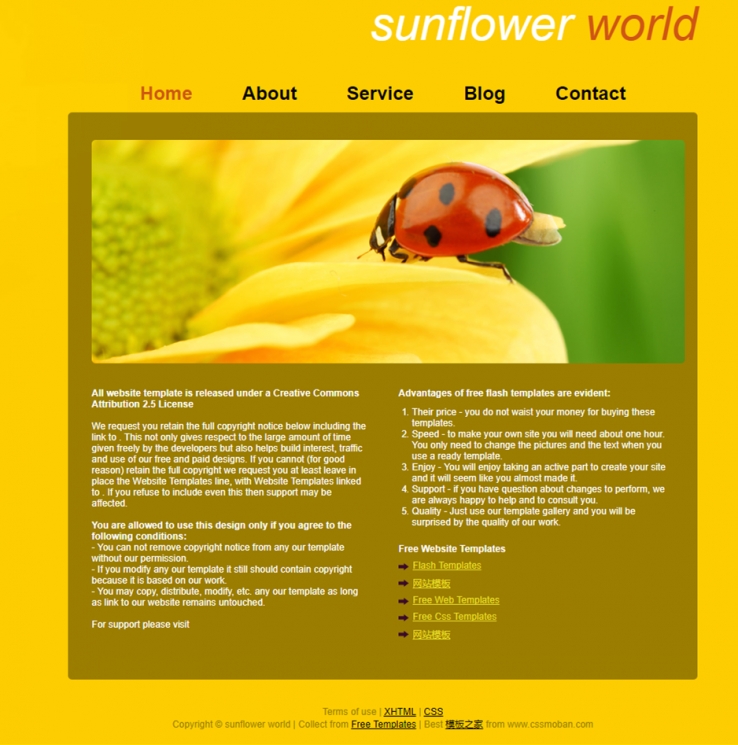 黄色太阳花简洁的企业网站模板下载