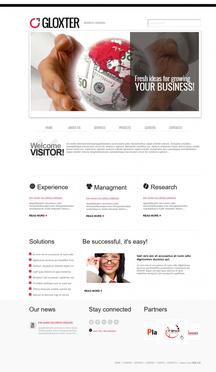 线条简洁效果的商务企业网站模板下载