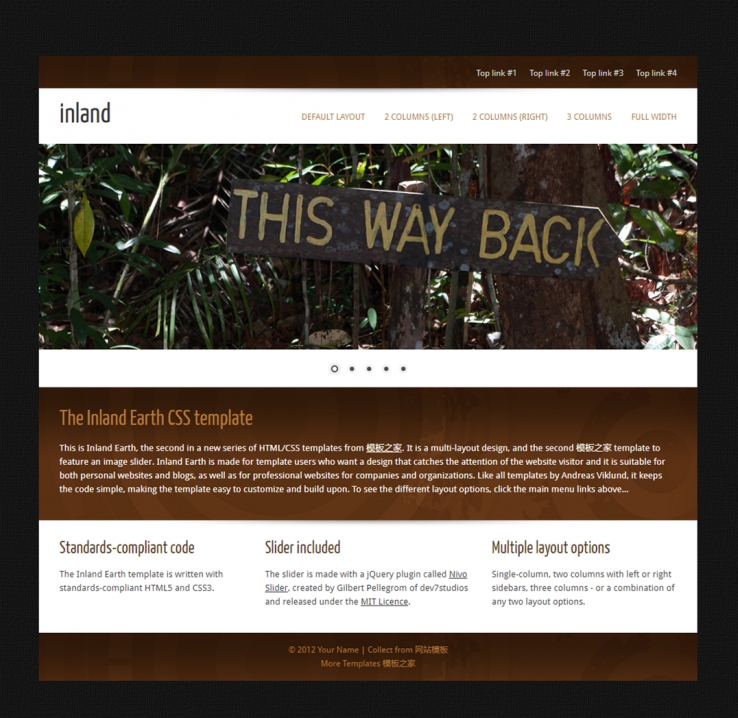 棕色丛林漂亮的企业网站模板下载