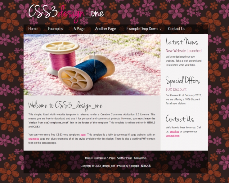 漂亮花色背景的二栏博客网站模板下载