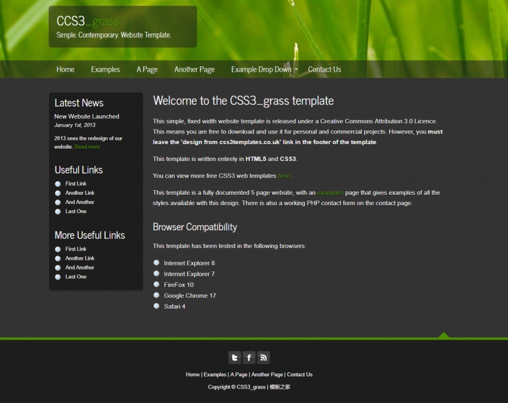绿色植物透明的企业网站模板下载