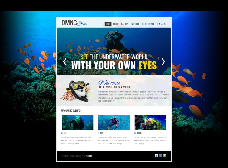 大气漂亮蓝色的海洋动物乐园企业网站模板下载