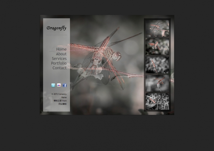 灰色创意精美的摄影公司案例展示企业网站模板下载