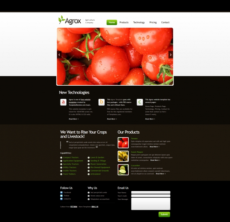 绿色简洁精致的水果蔬菜农业产品企业网站模板下载