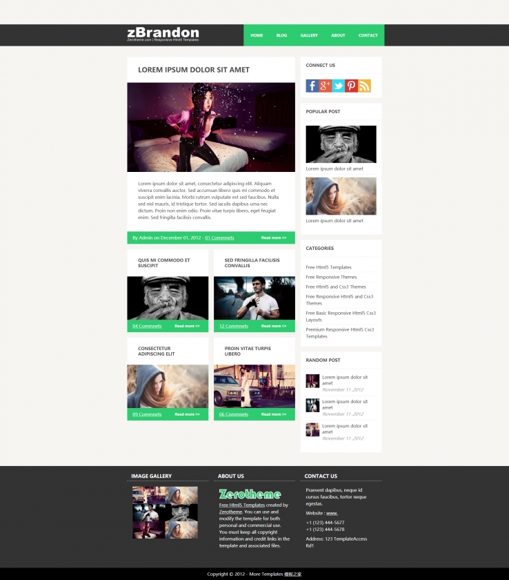 纯色扁平化简洁的摄影博客网站模板下载