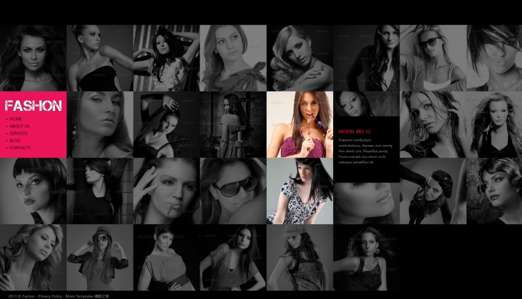 黑色时尚的摄影相册企业网站模板下载