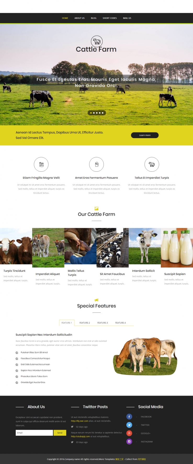 黑色简洁精美的奶牛牧场企业网站模板下载