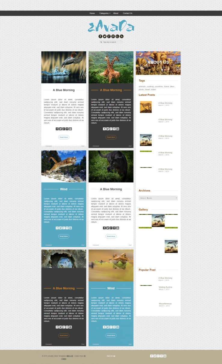 简洁瀑布流布局的动物世界博客模板下载