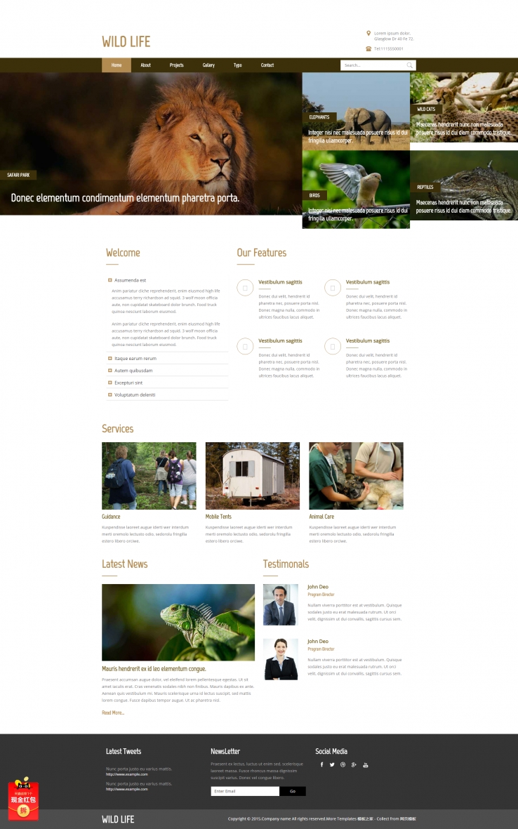 棕色简洁的野生动物园企业网站模板下载