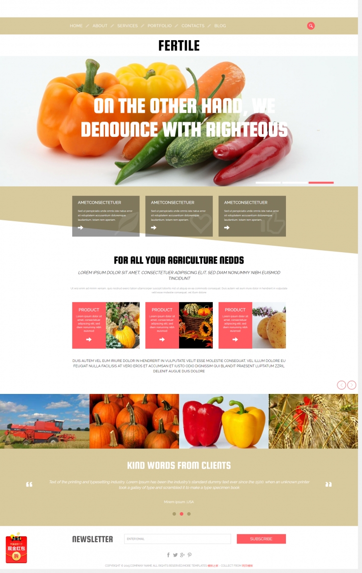 橙色大气漂亮的果农蔬菜基地公司网站模板下载