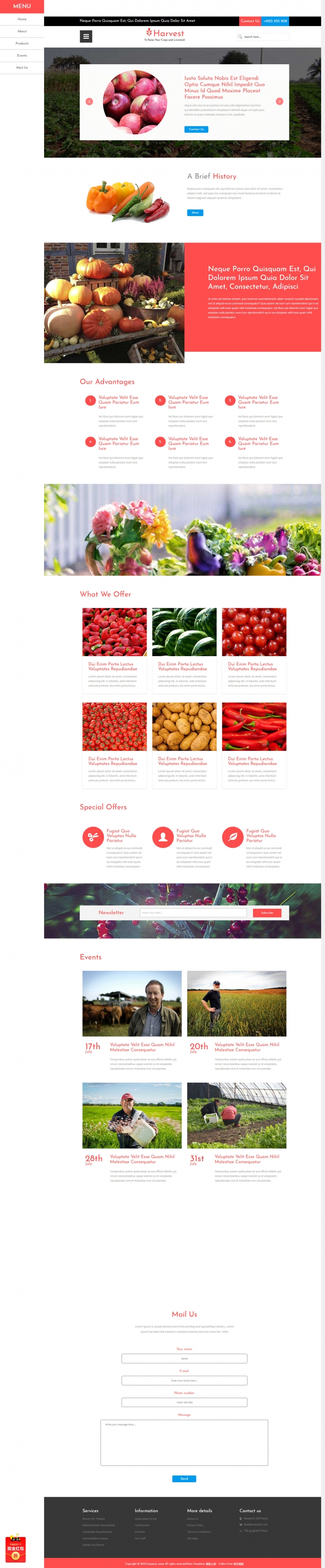 精致简洁风的蔬菜生鲜超市配送企业官网模板下载