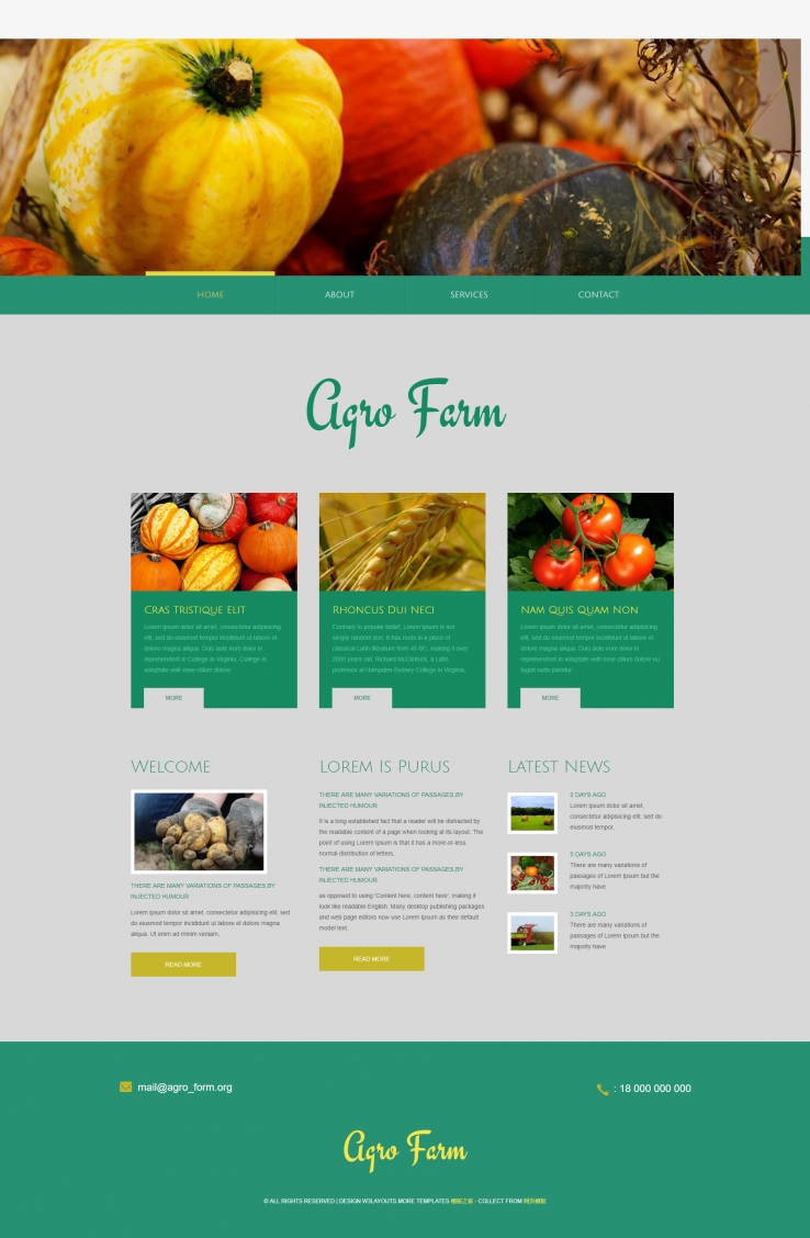 简洁精美的农业蔬菜水果网站模板下载