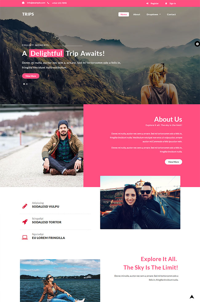 粉红色精美的旅行结婚网站模板下载