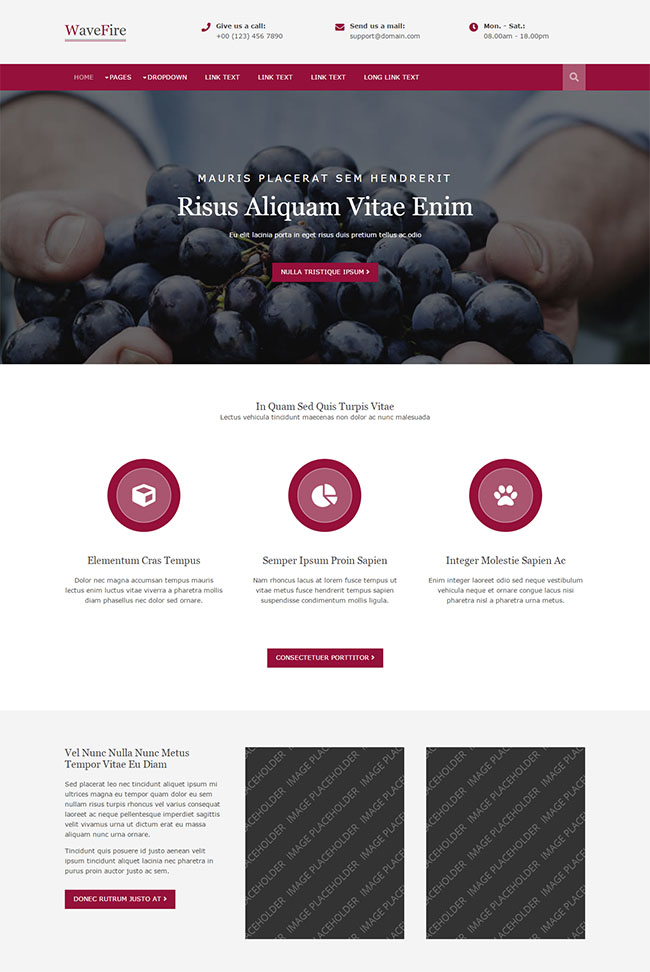 紫红色简洁风格的紫色葡萄种植企业网站模板