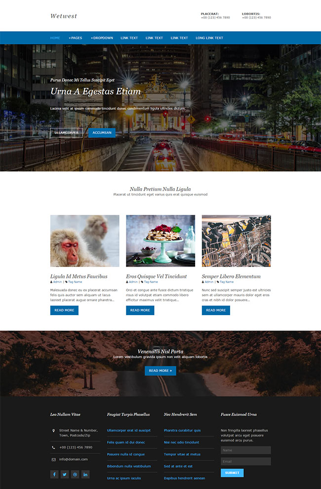 蓝色扁平化风格的城市之光旅行社企业网站模板
