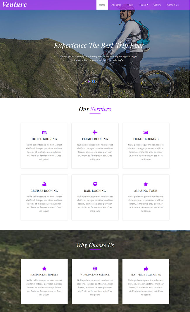 紫色精美风的欧美旅游公司网站模板下载