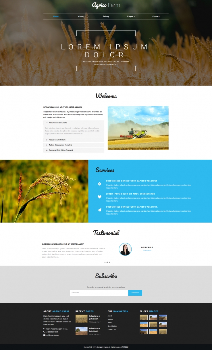 简洁大气风的水稻种植农业网站模板下载