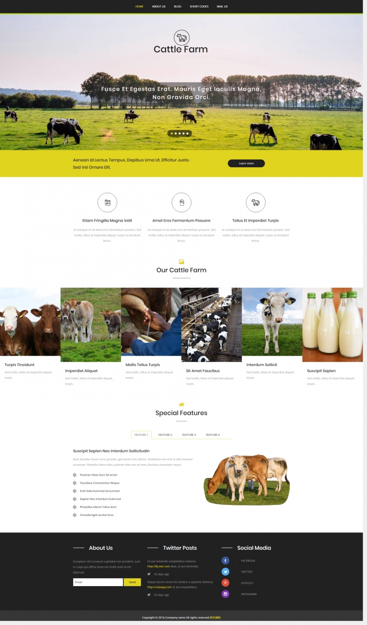 简洁精致风的奶牛养殖有限公司网站模板下载