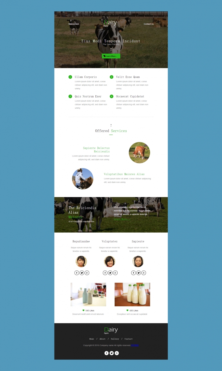 简洁蓝色风格的奶牛牧场CSS网页模板