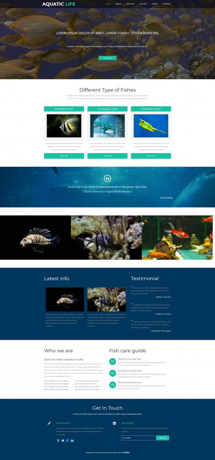 简洁大气风的金鱼养殖加盟网站模板下载