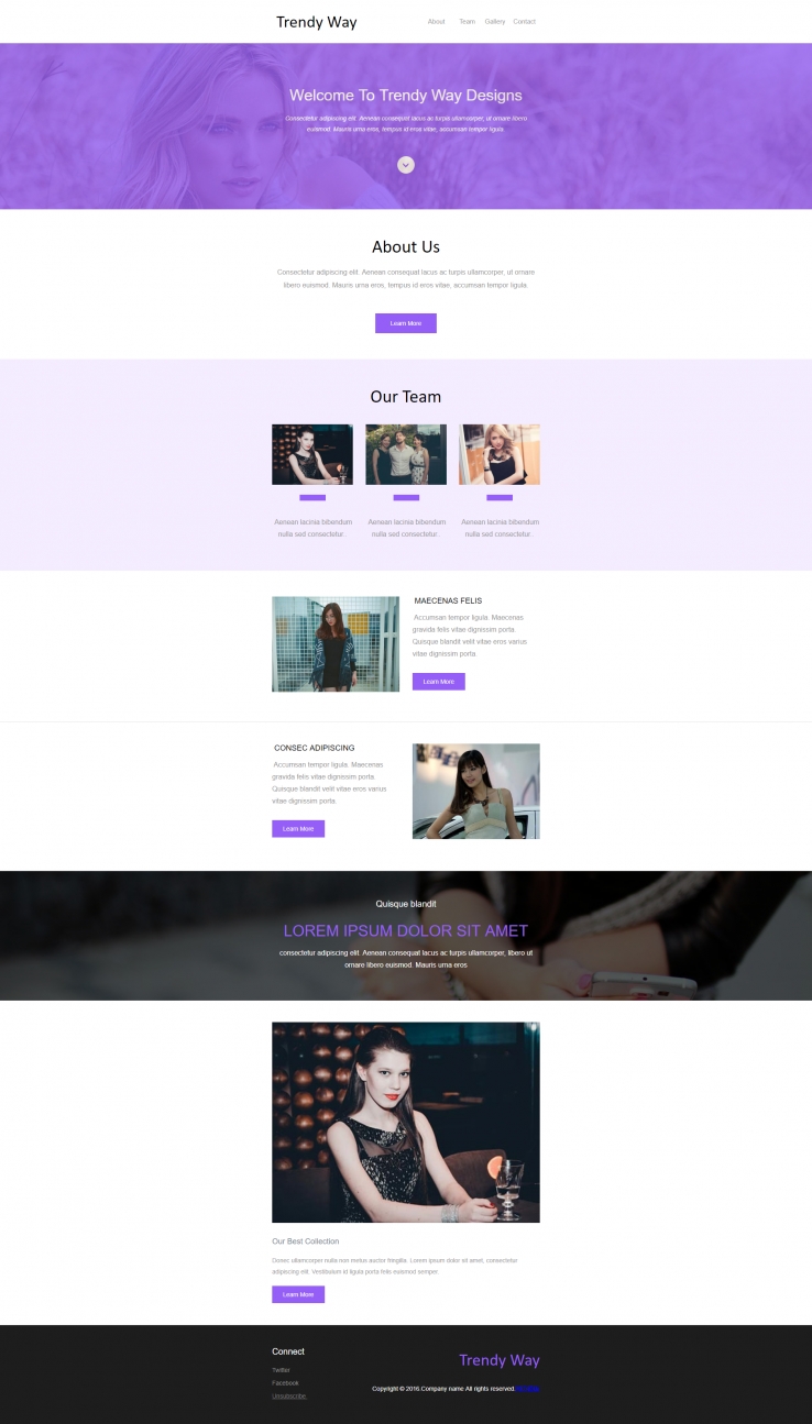 紫色简洁时尚的企业网站模板下载